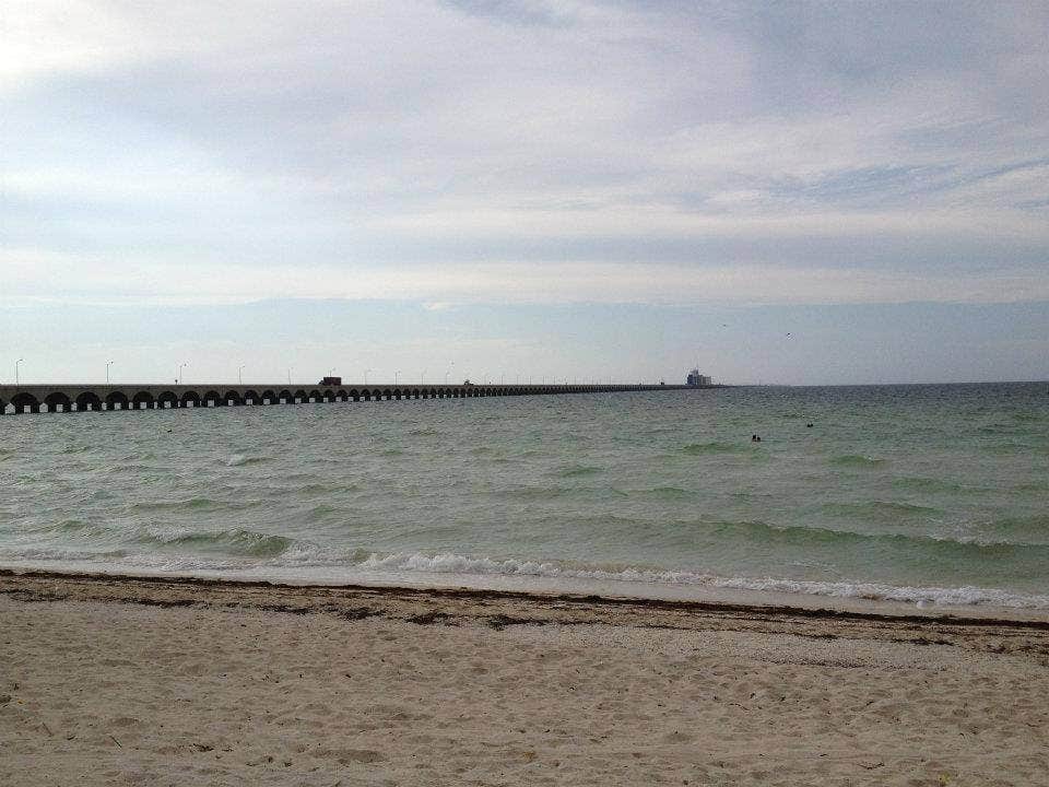 Camper submitted image from Sea Rim State Park Campground - 2