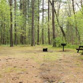 Review photo of Lorraine Park Campground — Harold Parker State Forest by Jean C., May 27, 2020