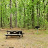 Review photo of Lorraine Park Campground — Harold Parker State Forest by Jean C., May 27, 2020