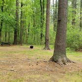 Review photo of Lorraine Park Campground — Harold Parker State Forest by Jean C., May 27, 2020