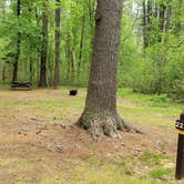 Review photo of Lorraine Park Campground — Harold Parker State Forest by Jean C., May 27, 2020