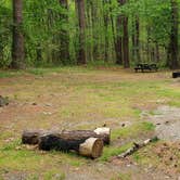 Review photo of Lorraine Park Campground — Harold Parker State Forest by Jean C., May 27, 2020