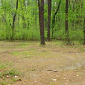 Review photo of Lorraine Park Campground — Harold Parker State Forest by Jean C., May 27, 2020