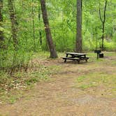 Review photo of Lorraine Park Campground — Harold Parker State Forest by Jean C., May 27, 2020