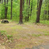 Review photo of Lorraine Park Campground — Harold Parker State Forest by Jean C., May 27, 2020