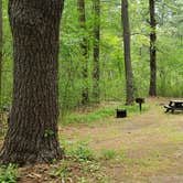 Review photo of Lorraine Park Campground — Harold Parker State Forest by Jean C., May 27, 2020