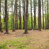 Review photo of Lorraine Park Campground — Harold Parker State Forest by Jean C., May 27, 2020