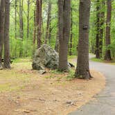 Review photo of Lorraine Park Campground — Harold Parker State Forest by Jean C., May 27, 2020