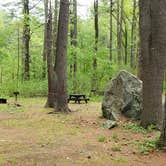 Review photo of Lorraine Park Campground — Harold Parker State Forest by Jean C., May 27, 2020