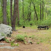 Review photo of Lorraine Park Campground — Harold Parker State Forest by Jean C., May 27, 2020