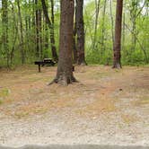 Review photo of Lorraine Park Campground — Harold Parker State Forest by Jean C., May 27, 2020