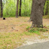 Review photo of Lorraine Park Campground — Harold Parker State Forest by Jean C., May 27, 2020