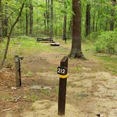 Review photo of Lorraine Park Campground — Harold Parker State Forest by Jean C., May 27, 2020