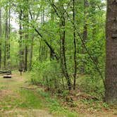 Review photo of Lorraine Park Campground — Harold Parker State Forest by Jean C., May 27, 2020