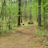 Review photo of Lorraine Park Campground — Harold Parker State Forest by Jean C., May 27, 2020