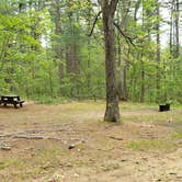 Review photo of Lorraine Park Campground — Harold Parker State Forest by Jean C., May 27, 2020