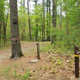 Review photo of Lorraine Park Campground — Harold Parker State Forest by Jean C., May 27, 2020