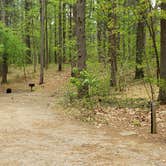 Review photo of Lorraine Park Campground — Harold Parker State Forest by Jean C., May 27, 2020