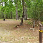 Review photo of Lorraine Park Campground — Harold Parker State Forest by Jean C., May 27, 2020