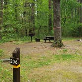 Review photo of Lorraine Park Campground — Harold Parker State Forest by Jean C., May 27, 2020