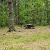 Review photo of Lorraine Park Campground — Harold Parker State Forest by Jean C., May 27, 2020