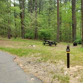 Review photo of Lorraine Park Campground — Harold Parker State Forest by Jean C., May 27, 2020