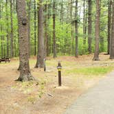 Review photo of Lorraine Park Campground — Harold Parker State Forest by Jean C., May 27, 2020