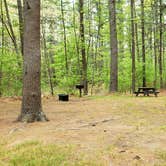 Review photo of Lorraine Park Campground — Harold Parker State Forest by Jean C., May 27, 2020