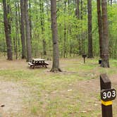 Review photo of Lorraine Park Campground — Harold Parker State Forest by Jean C., May 27, 2020