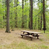 Review photo of Lorraine Park Campground — Harold Parker State Forest by Jean C., May 27, 2020