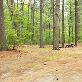 Review photo of Lorraine Park Campground — Harold Parker State Forest by Jean C., May 27, 2020