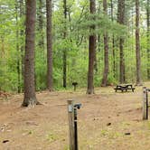 Review photo of Lorraine Park Campground — Harold Parker State Forest by Jean C., May 27, 2020