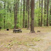 Review photo of Lorraine Park Campground — Harold Parker State Forest by Jean C., May 27, 2020