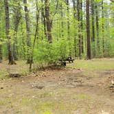 Review photo of Lorraine Park Campground — Harold Parker State Forest by Jean C., May 27, 2020