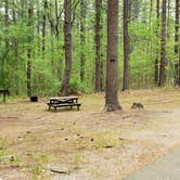 Review photo of Lorraine Park Campground — Harold Parker State Forest by Jean C., May 27, 2020