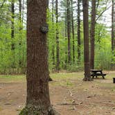 Review photo of Lorraine Park Campground — Harold Parker State Forest by Jean C., May 27, 2020