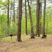 Review photo of Lorraine Park Campground — Harold Parker State Forest by Jean C., May 27, 2020