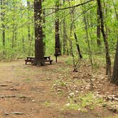 Review photo of Lorraine Park Campground — Harold Parker State Forest by Jean C., May 27, 2020