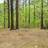 Review photo of Lorraine Park Campground — Harold Parker State Forest by Jean C., May 27, 2020