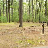 Review photo of Lorraine Park Campground — Harold Parker State Forest by Jean C., May 27, 2020