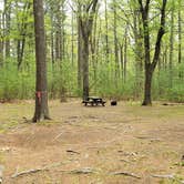 Review photo of Lorraine Park Campground — Harold Parker State Forest by Jean C., May 27, 2020