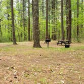 Review photo of Lorraine Park Campground — Harold Parker State Forest by Jean C., May 27, 2020