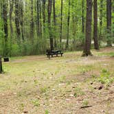 Review photo of Lorraine Park Campground — Harold Parker State Forest by Jean C., May 27, 2020