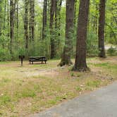 Review photo of Lorraine Park Campground — Harold Parker State Forest by Jean C., May 27, 2020