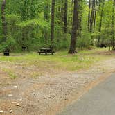 Review photo of Lorraine Park Campground — Harold Parker State Forest by Jean C., May 27, 2020