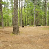 Review photo of Lorraine Park Campground — Harold Parker State Forest by Jean C., May 27, 2020