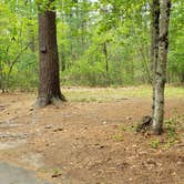 Review photo of Lorraine Park Campground — Harold Parker State Forest by Jean C., May 27, 2020