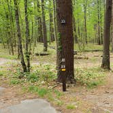 Review photo of Lorraine Park Campground — Harold Parker State Forest by Jean C., May 27, 2020