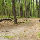 Review photo of Lorraine Park Campground — Harold Parker State Forest by Jean C., May 27, 2020