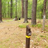 Review photo of Lorraine Park Campground — Harold Parker State Forest by Jean C., May 27, 2020